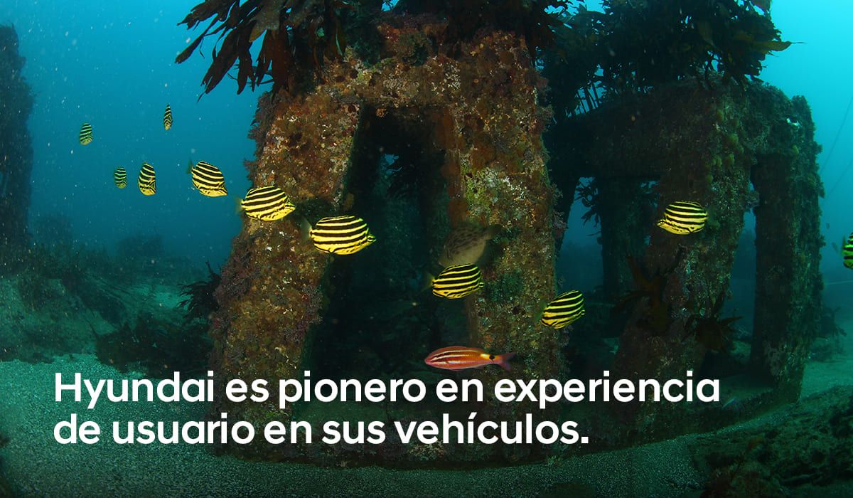 hyundai noticia